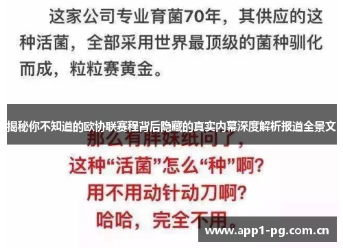 揭秘你不知道的欧协联赛程背后隐藏的真实内幕深度解析报道全景文 揭秘你不知道的欧协联赛程背后隐藏的真实内幕深度解析报道全景文